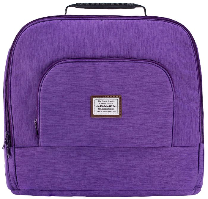 Коляска 2 в 1 Adamex Luciano Q12 фиолетовый