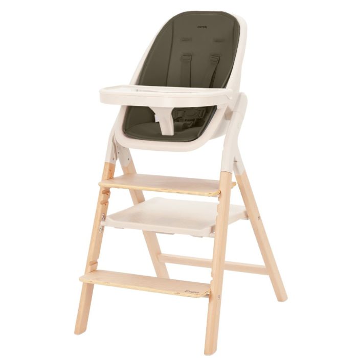 Стульчик для кормления CARRELLO Ergo CRL-16701 Pine Green