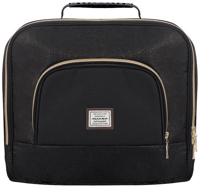 Коляска 2 в 1 Adamex Mimi Polar (Gold) Y836 черный (люрикс) - черная кожа (выдавленная точка)