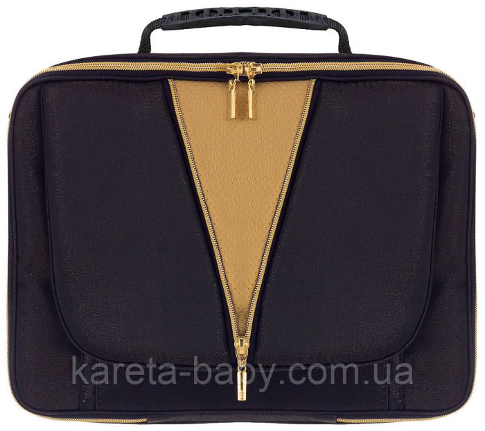 Коляска 2 в 1 Adamex Sierra Polar (Gold) SR436 чорний (люрікс) - золота шкіра (перфорація)