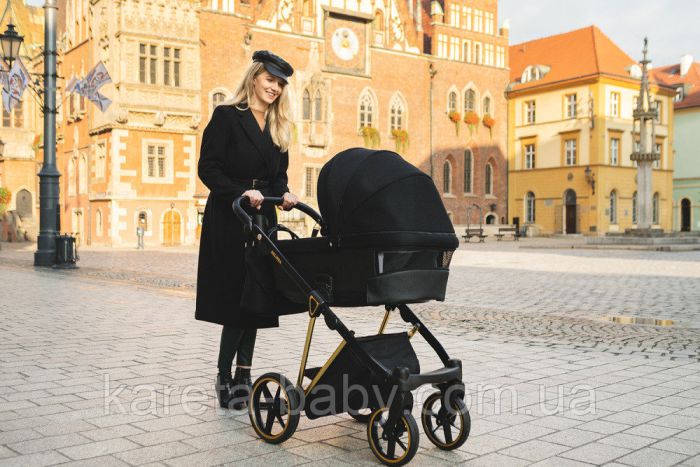 Коляска 2 в 1 Adamex Belissa ECO кожа 100% SA-4 темно-серый