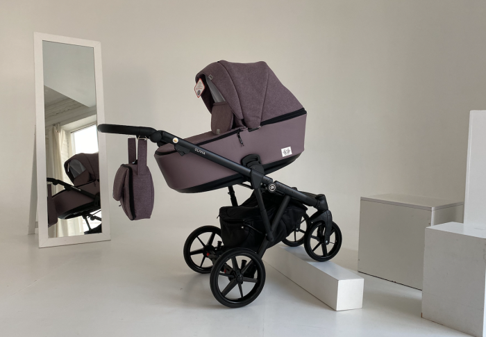 Коляска 2 в 1 Adamex Olivia CR-224