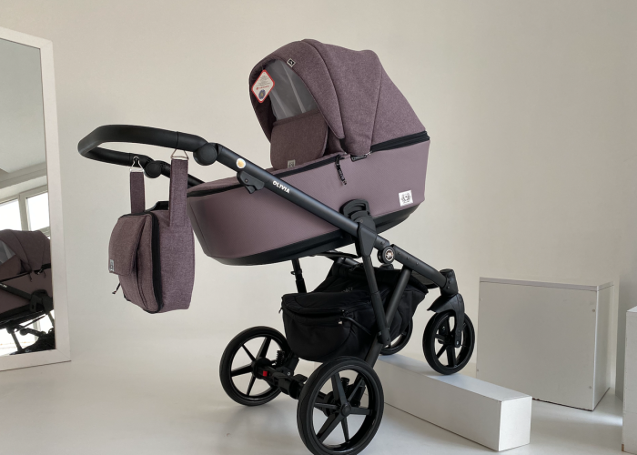 Коляска 2 в 1 Adamex Olivia CR-224