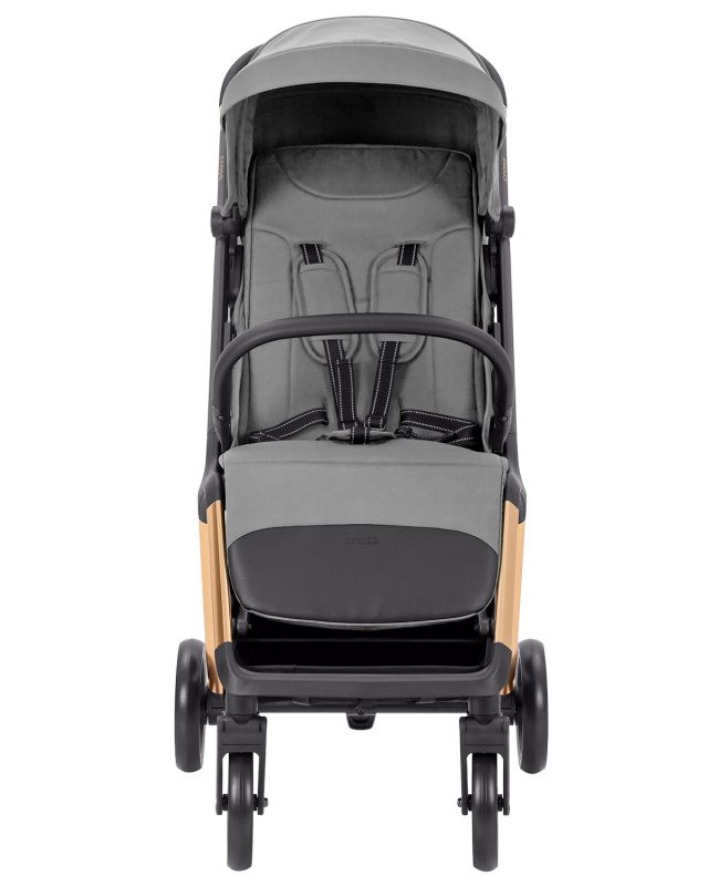 Коляска прогулочная CARRELLO Cross CRL-5523 Owl Grey