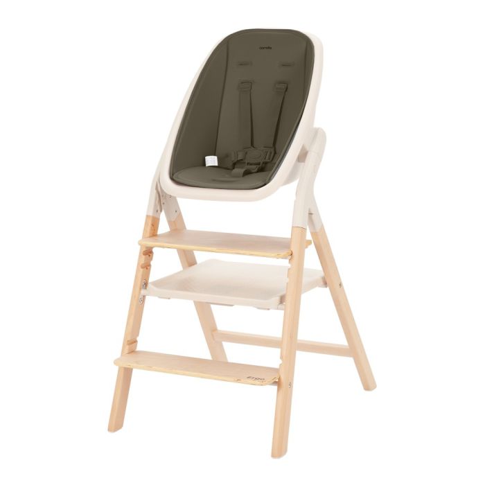 Стульчик для кормления CARRELLO Ergo CRL-16701 Pine Green
