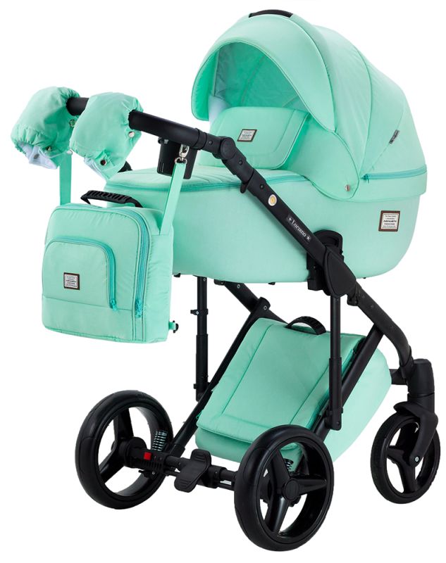 Коляска 2 в 1 Adamex Lucianо C221 мятный