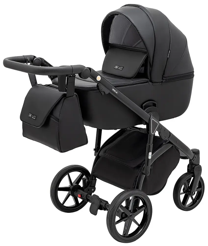 Коляска 2 в 1 Adamex Nola Eco SA-2 черный