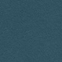 Коляска прогулочная CARRELLO Pulse CRL-5507 Azure Blue +дождевик L /1/