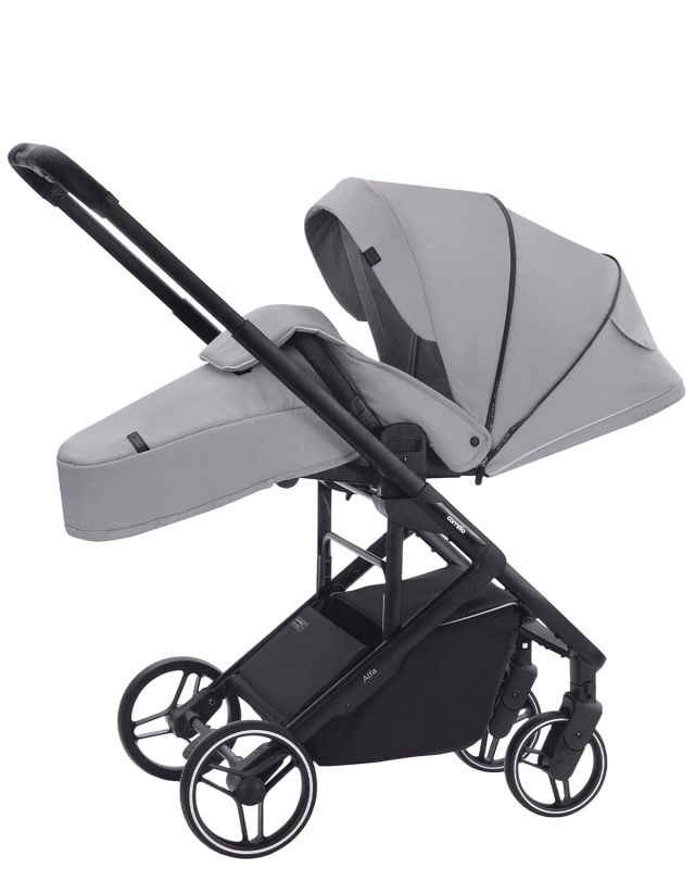 Коляска прогулочная CARRELLO Alfa CRL-5508 Cloud Grey