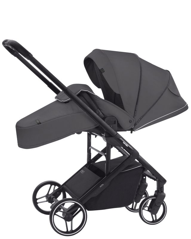 Прогулянкова коляска CARRELLO Alfa CRL-5508 Falcon Grey