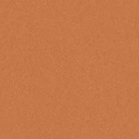 Коляска прогулочная Carrello Bravo Plus 2023 Royal Orange
