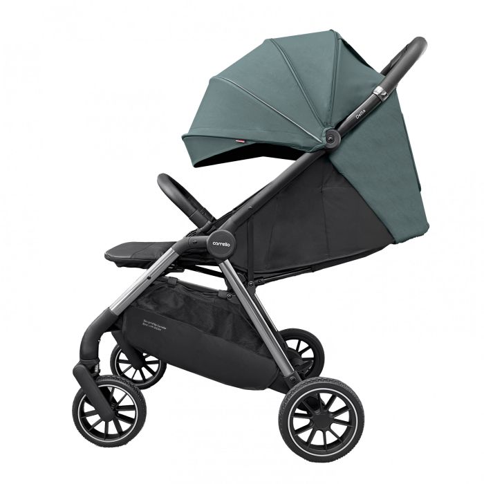 Коляска прогулочная CARRELLO Delta Jungle Green