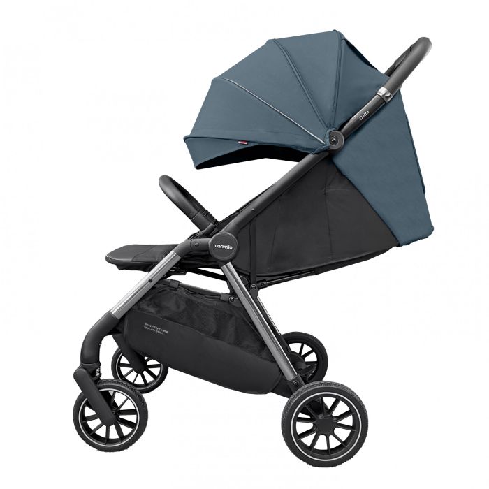 Коляска прогулочная CARRELLO Delta Sky Blue
