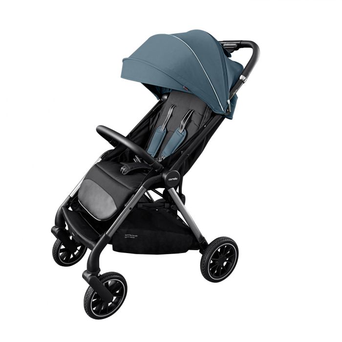 Коляска прогулочная CARRELLO Delta Sky Blue