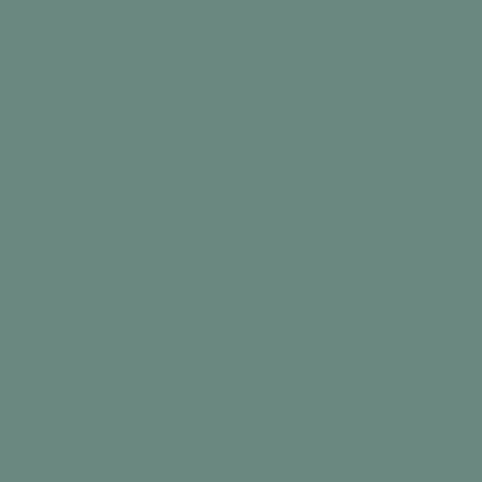 Коляска прогулочная Carrello Nero Pear Green