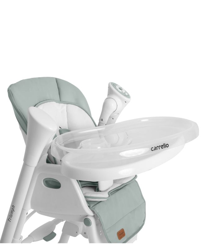 Стульчик-качели CARRELLO Triumph CRL-10302 / Olive Green /1/ MOQ
