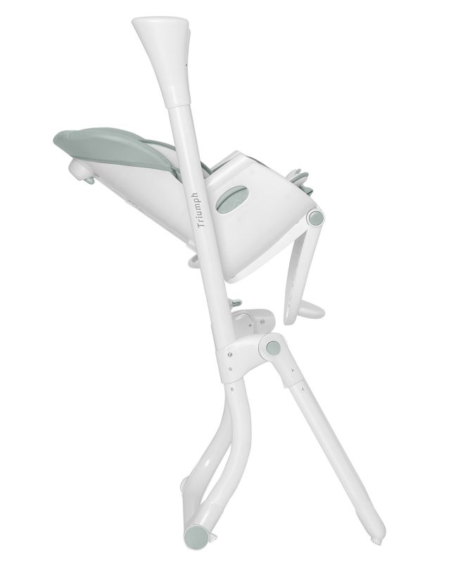 Стульчик-качели CARRELLO Triumph CRL-10302 / Olive Green /1/ MOQ