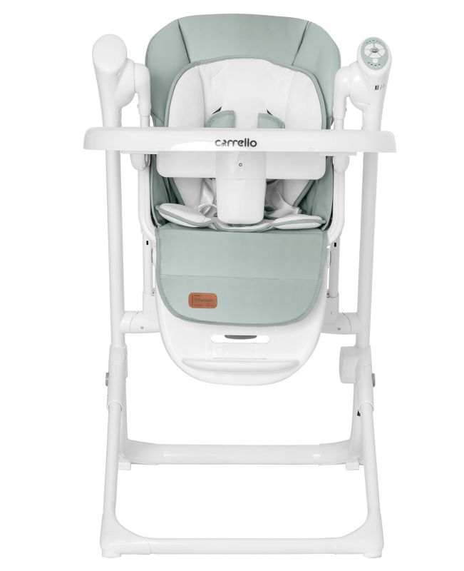 Стульчик-качели CARRELLO Triumph CRL-10302 / Olive Green /1/ MOQ