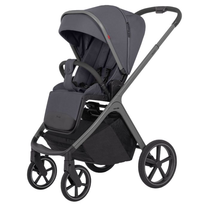 Коляска 2 в 1 CARRELLO Vector CRL-6550 Landscape Grey