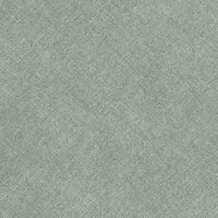 Прогулянкова коляска CARRELLO Vista CRL-8505 Serious Grey