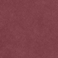 Коляска прогулочная CARRELLO Vista CRL-8505 Ruby Red +дощовик L /1/ MOQ