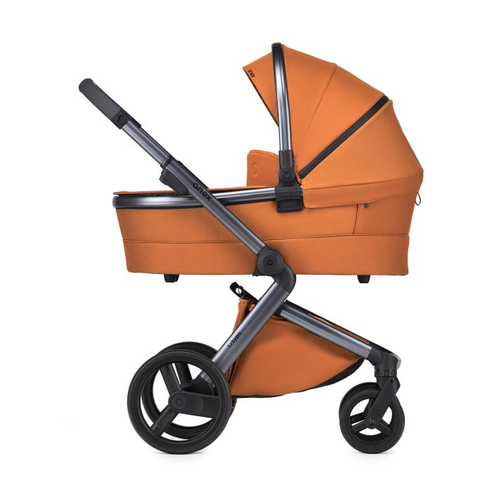 Коляска 2 в 1 Anex L/Type Ginger (t-14t)