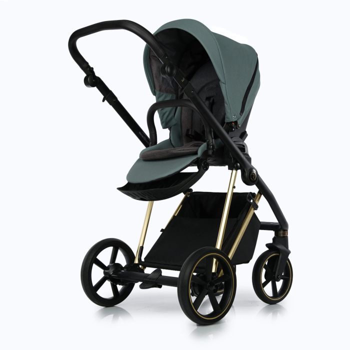 Коляска 2 в 1 Roan Ivi Pine Green Gold 2.0
