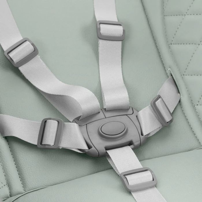 Стульчик для кормления TILLY Junior T-671 Dark Green